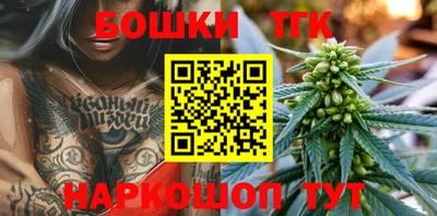 прущие грибы Надым