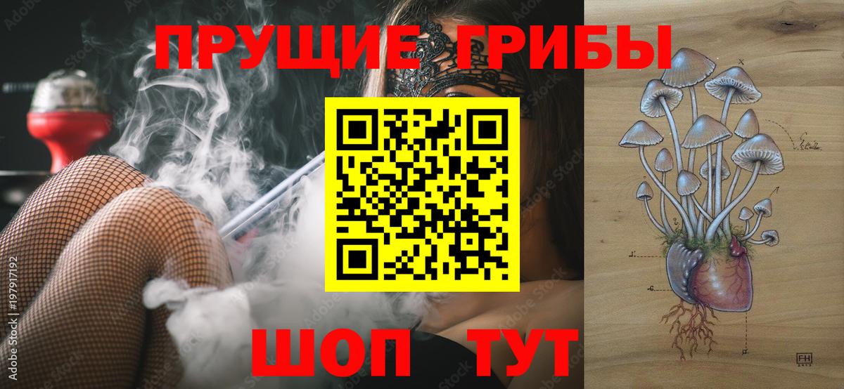 Псилоцибиновые грибы Cubensis  Вход с VPN  Благодарный 